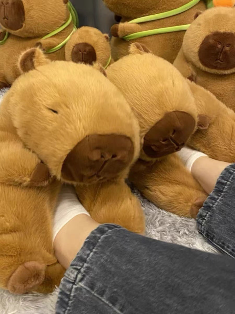 Bear Cotton Slippers Plush Slippers Kappibara Slippers Cartoon Capybara Cotton Slippers